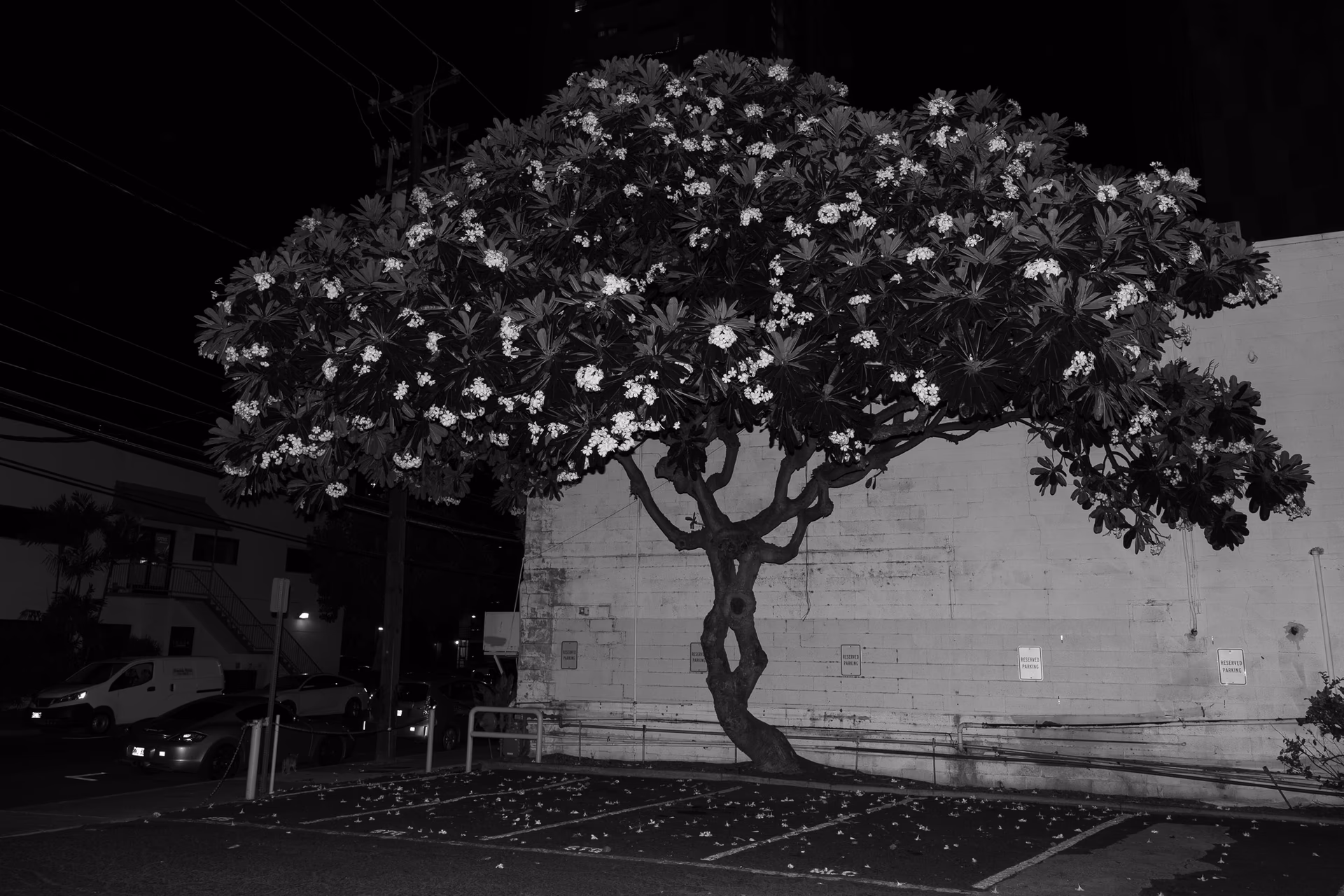 Capicua Mixer at HTW 2024